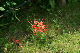 image0100