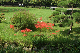 image0121
