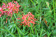 image0128