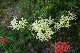 image0130