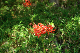 image0131