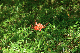 image0132