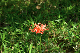 image0134