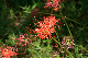 image0135