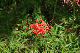 image0136