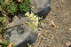 image0137