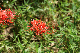 image0138