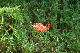 image0139