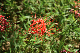 image0140