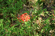 image0141