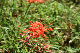 image0142