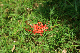 image0143