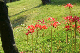 image0144