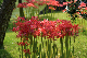 image0145