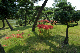 image0146