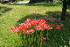image0147