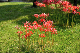 image0148