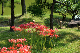 image0149