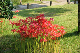 image0150