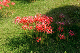 image0151