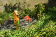 image0159