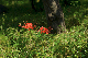 image0160