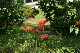 image0161