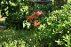 image0162