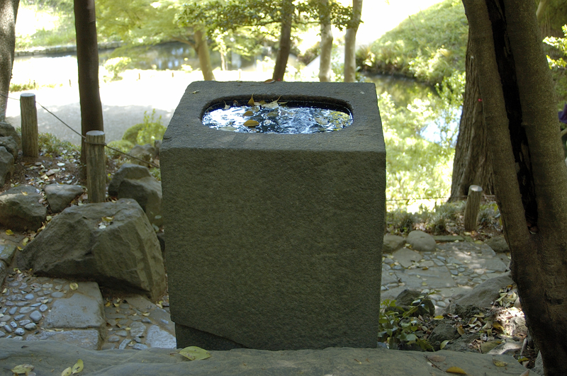 image0059