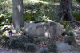 image0073