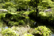 image0075