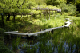 image0077