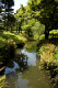 image0079