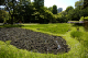 image0081