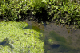 image0082