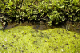 image0083