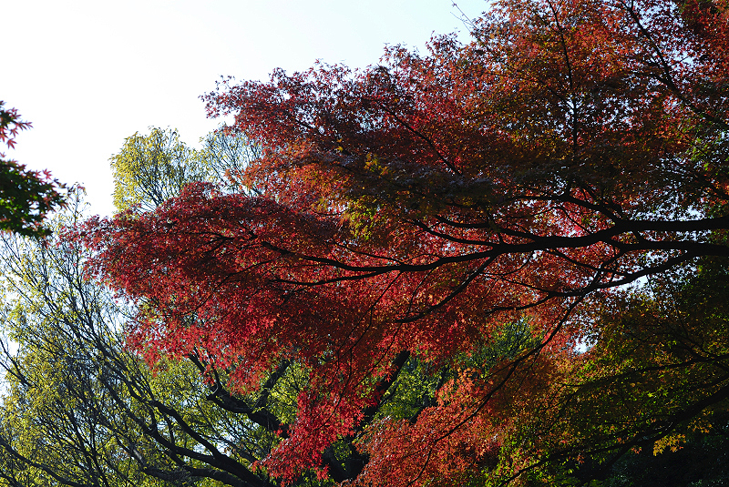 image0104