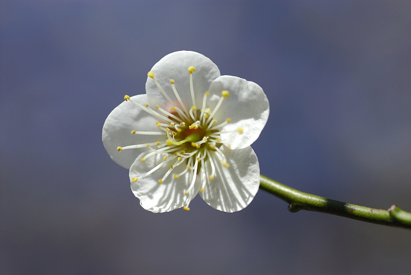 image0105