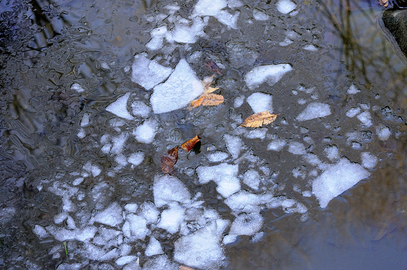image0097