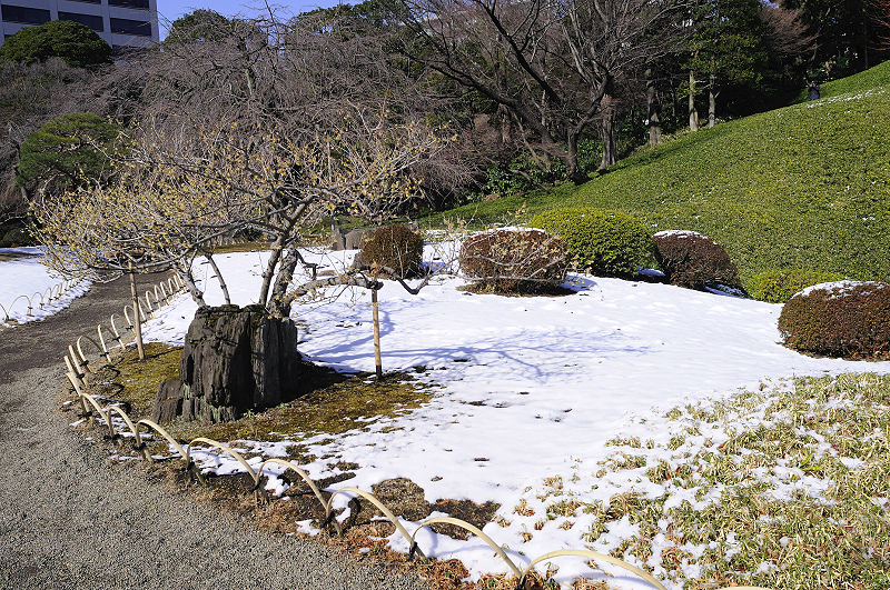 image0124