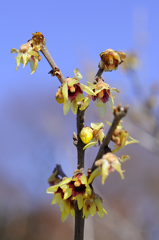 image0140