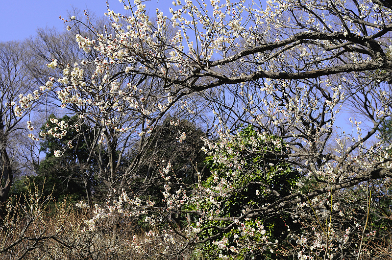 image0110