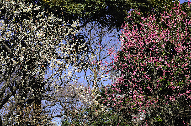 image0111