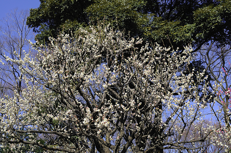 image0112