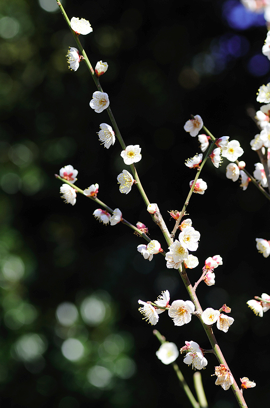 image0120