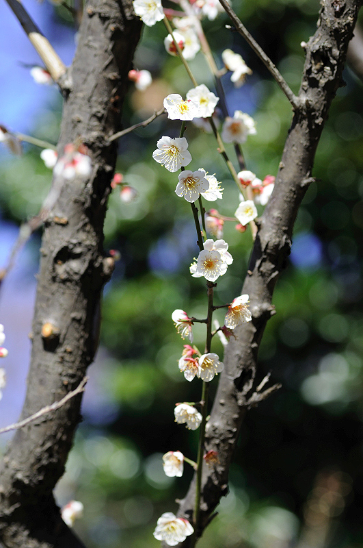 image0122