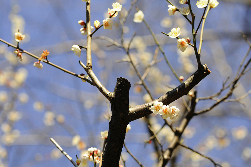 image0123