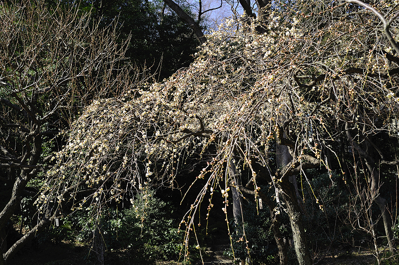image0127
