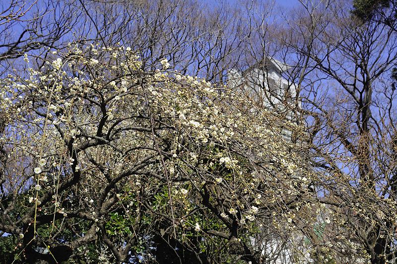 image0128