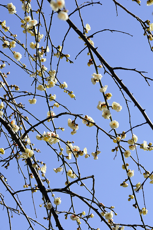 image0132